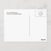 雪だるまディスペンサー ポストカード (裏面)