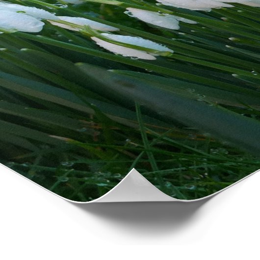 雪だるまポスター ポスター (角)