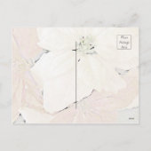 雪だるまメリークリスマス シーズンポストカード (裏面)