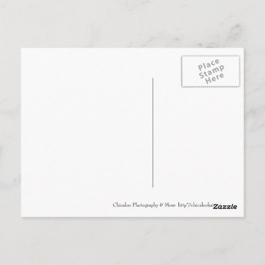 雪だるま ポストカード (裏面)