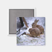 雪だるま マグネット (正面/裏面)