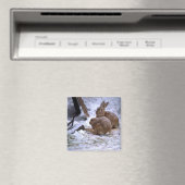 雪だるま マグネット (インサイチュ (食洗機))