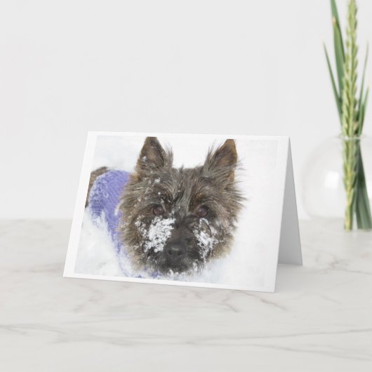 雪だ！ シーズンカード (正面)