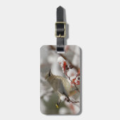 雪でサンザシに覆われた大人の杉 ラゲッジタグ (正面縦)