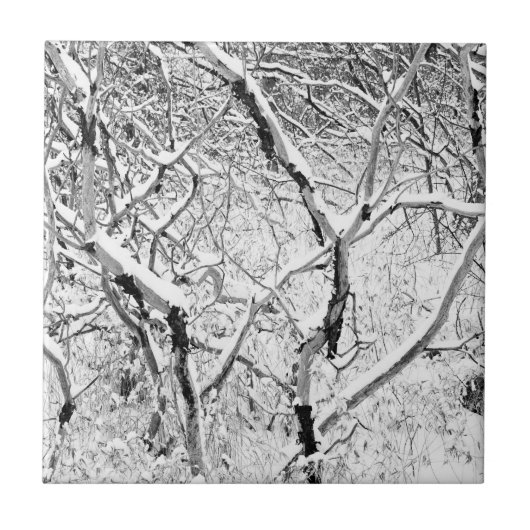 雪で家に帰る タイル (正面)