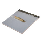 雪で掘り進んでいる犬 タイル (側面)