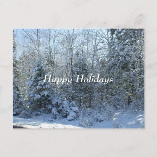 雪で覆われたクリスマスツリー シーズンポストカード (正面)