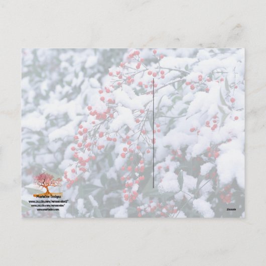 雪で覆われたヒイラギの果実-休日の郵便はがき シーズンポストカード (裏面)