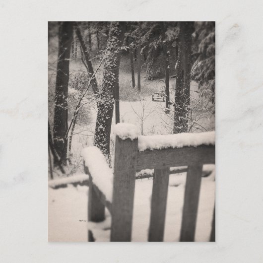雪で覆われたベンチ ポストカード (正面)