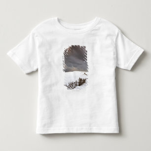 雪で覆われた分野に沿う壊れた塀 トドラーTシャツ