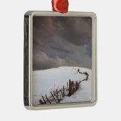 雪で覆われた分野に沿う壊れた塀 メタルオーナメント (右)