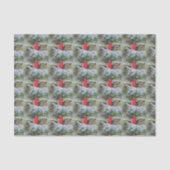 雪で覆われた大枝の赤い(鳥)ショウジョウコウカンチョウ 薄葉紙 (正面)