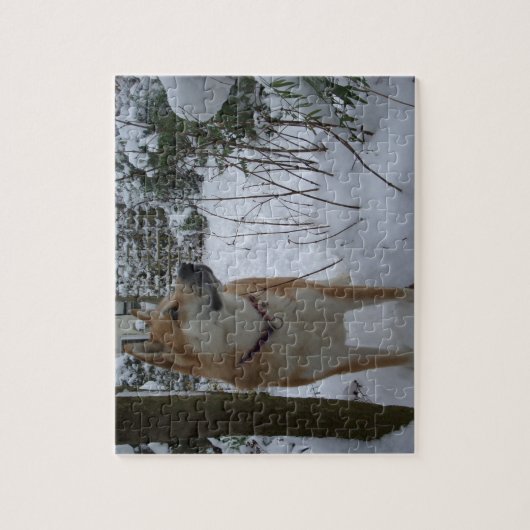 雪で覆われた庭の低木の写真の秋田犬 ジグソーパズル (縦)