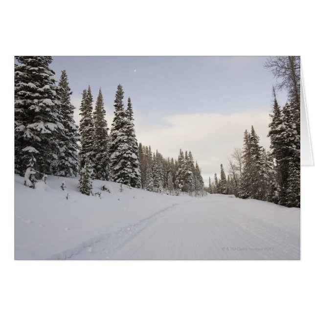 雪で覆われた景色 (正面横)