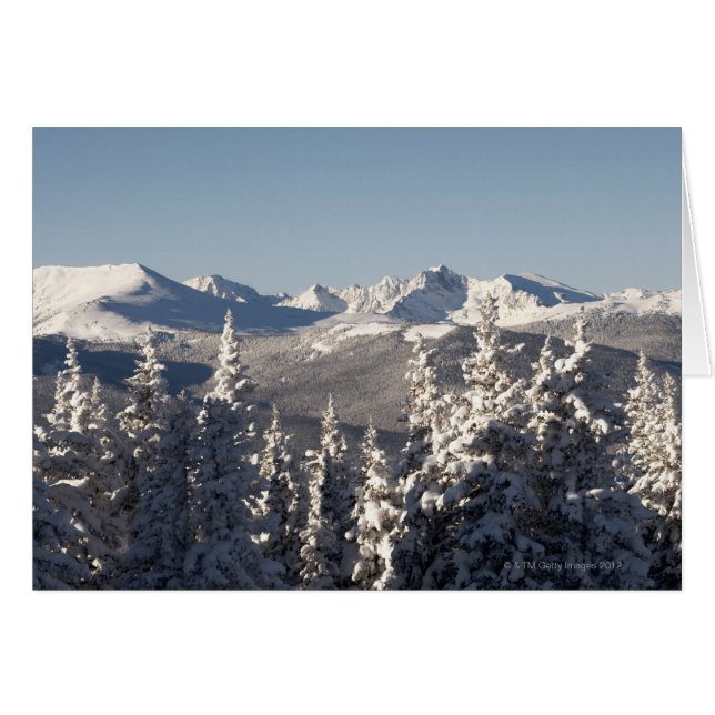 雪で覆われた景色2 (正面横)