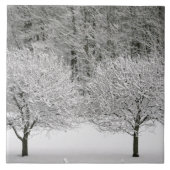 雪で覆われた景色 タイル (正面)