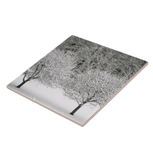 雪で覆われた景色 タイル (側面)