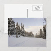 雪で覆われた景色 ポストカード (正面/裏面)