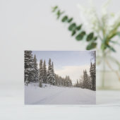 雪で覆われた景色 ポストカード (スタンド正面)