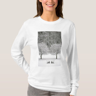 雪で覆われた景色 Tシャツ