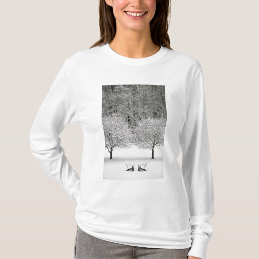 雪で覆われた景色 Tシャツ (正面)
