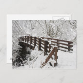 雪で覆われた木造の橋 ポストカード (正面/裏面)