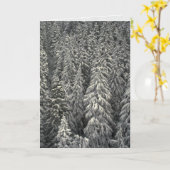 雪で覆われた松の木 カード (黄色い花)