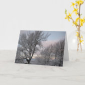 雪で覆われた枝 カード (黄色い花)