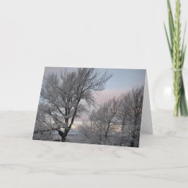 雪で覆われた枝 カード