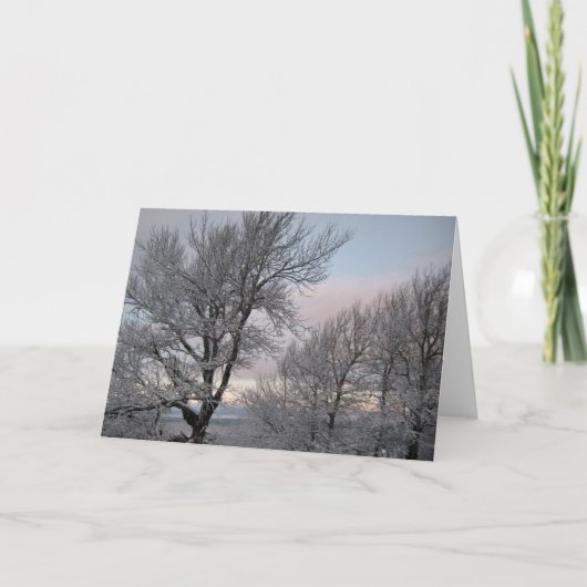 雪で覆われた枝 カード (正面)