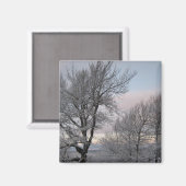 雪で覆われた枝 マグネット (正面/裏面)