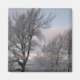 雪で覆われた枝 マグネット