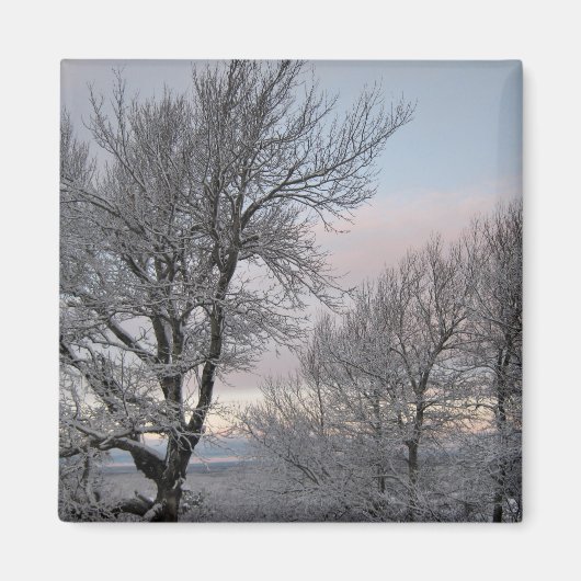 雪で覆われた枝 マグネット (正面)