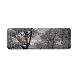 雪で覆われた枝 ラベル