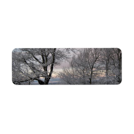 雪で覆われた枝 ラベル (正面)