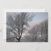 雪で覆われた枝 招待状 (正面)