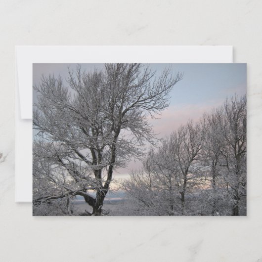 雪で覆われた枝 招待状 (正面)