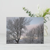 雪で覆われた枝 招待状 (スタンド正面)