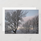 雪で覆われた枝 招待状 (正面/裏面)