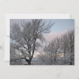 雪で覆われた枝 招待状