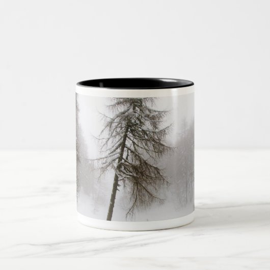 雪で覆われた道の1本の傾斜の木 ツートーンマグカップ (中央)