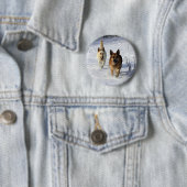 雪で走っているジャーマン・シェパード 缶バッジ (インサイチュ)