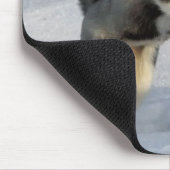 雪で遊んでいるシベリアンハスキーの子犬 マウスパッド (コーナー)