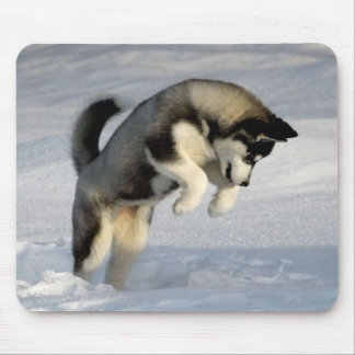 雪で遊んでいるシベリアンハスキーの子犬 マウスパッド