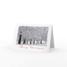 雪と木がクリスマスを楽しむ