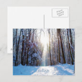 雪と木に日よけ ポストカード (正面/裏面)