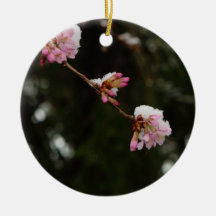 「雪と」つるされるさくらんぼを見るため- E Housman