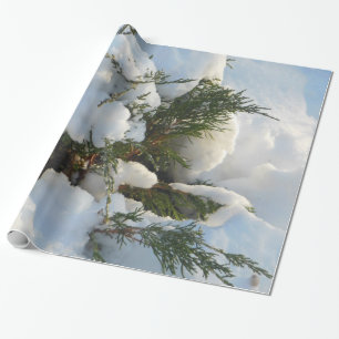 雪によって埋められる常緑樹 ラッピングペーパー