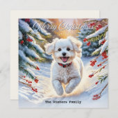 雪にビコンフリーズかわいい犬の冬のクリスマス シーズンカード (正面/裏面)