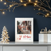 雪に包まれ、冬のセーターが可愛い猫 ポストカード